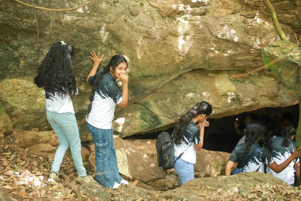 Annual Trip