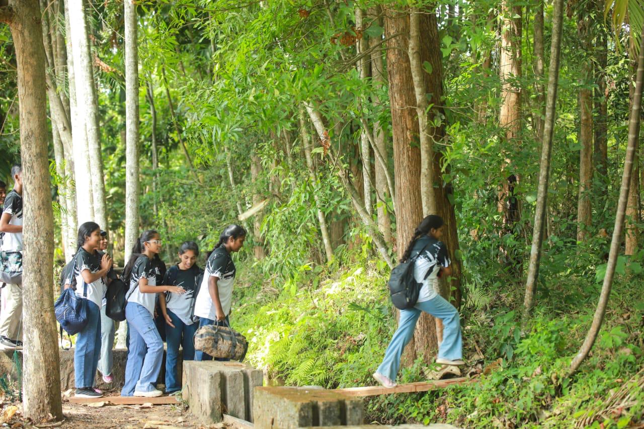 Annual Trip
